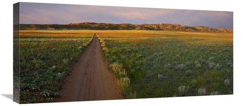 Global Gallery GCS-396711-30-142 30 in. Dirt Road & Globemallows Salt 