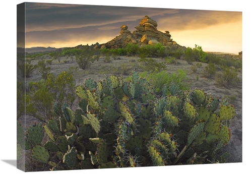 Global Gallery GCS-396771-1824-142 18 x 24 in. Opuntia & Hoodoos, 