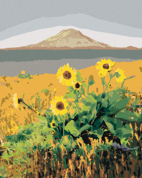 Paint by Numbers - SUNFLOWERS IN FRONT OF A MOUNTAIN, USA (TED DAVIS)