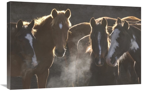 Global Gallery GCS-453136-2436-142 24 x 36 in. Horse Herd At Annual Ro