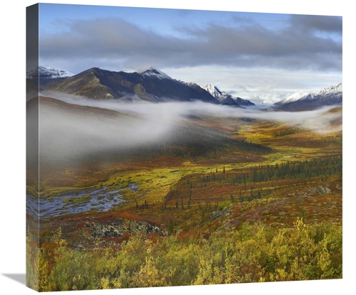 Global Gallery GCS-396904-22-142 22 in. Fog Over Tundra, Tombstone