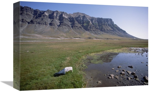 Global Gallery GCS-451538-1218-142 12 x 18 in. Svalbard Reindeer in Ar