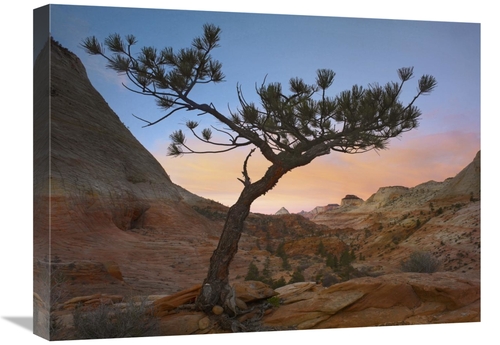 Global Gallery GCS-397058-1824-142 18 x 24 in. Lone Pine Tree with Eas