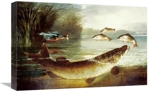 Global Gallery GCS-267178-22-142 22 in. A Kingfisher & a Pike Capturin