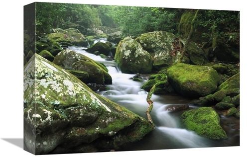 Global Gallery GCS-396693-1216-142 12 x 16 in. Roaring Fork River,