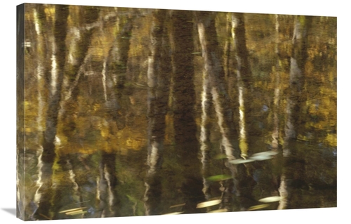 Global Gallery GCS-395738-2436-142 24 x 36 in. Reflection of Red Alder