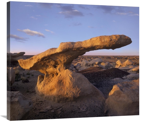 Global Gallery GCS-396606-36-142 36 in. Eroded Rock, Bisti Badland