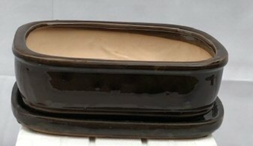 Bronze Ceramic Bonsai Pot - RectangleWith Humidity Drip Tray10.5" x