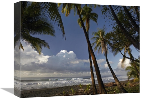 12 x 16 in. Palm Trees on the Beach Near Marino Ballena National Park&