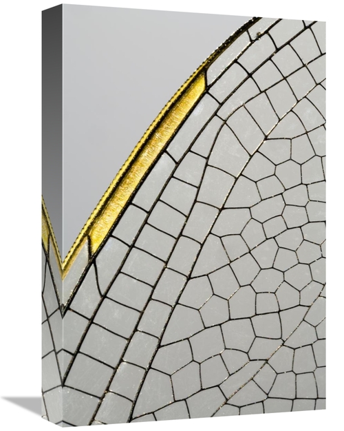 Global Gallery GCS-397976-1218-142 12 x 18 in. Emperor Dragonfly Wing&