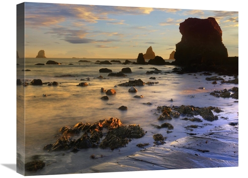 Global Gallery GCS-396033-1824-142 18 x 24 in. Seastacks, Lone Ran