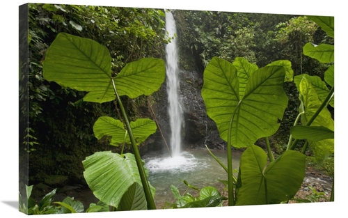 Global Gallery GCS-395563-2030-142 20 x 30 in. Waterfall in Lowland Tr
