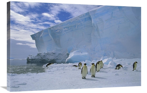 Global Gallery GCS-451724-2436-142 24 x 36 in. Emperor Penguins Commut