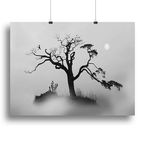Pine tree In The Fog Canvas Print or Poster