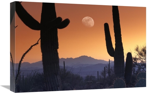 Global Gallery GCS-396538-1624-142 16 x 24 in. Kitt Peak Under Moon Fr