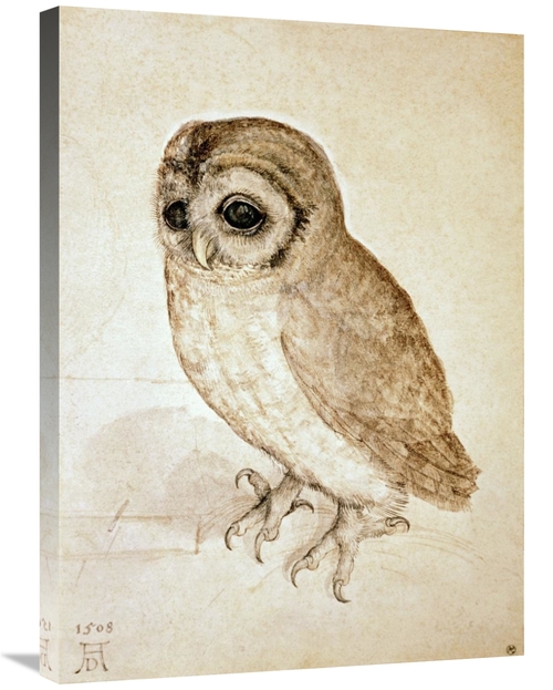 Global Gallery GCS-277447-30-142 30 in. Screech Owl Art Print - Albrec