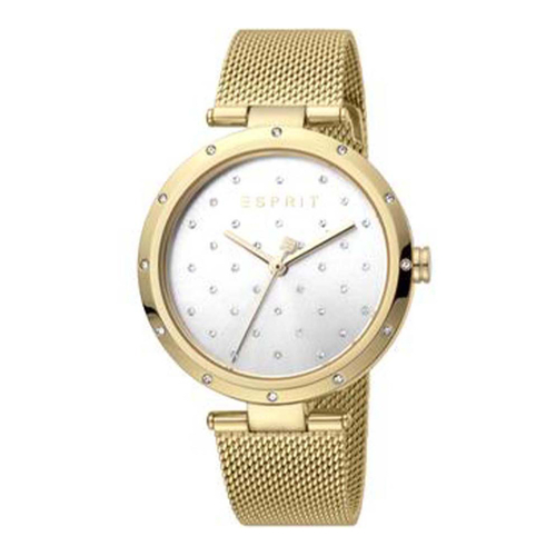 Esprit ES1L214M0065 Louise Silver Gold Mesh Ladies Watch