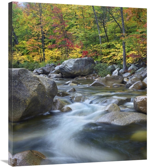 Global Gallery GCS-452248-36-142 36 in. Swift River in Fall, White