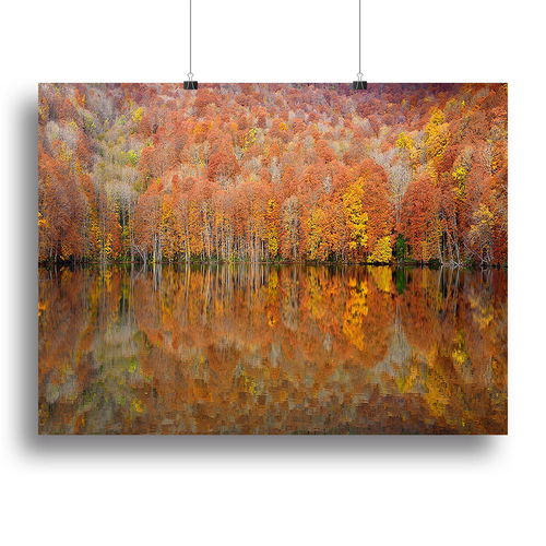 Glowing Autumn Canvas Print or Poster