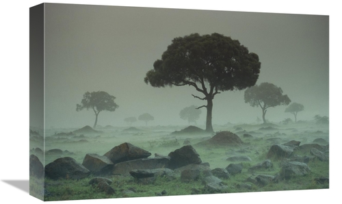 Global Gallery GCS-396140-1218-142 12 x 18 in. Rain Storm on the Seren