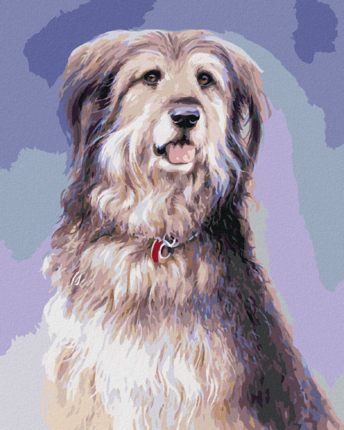 Zuty - Paint by Numbers â€“  LONG-HAIRED DOG (JIM KILLEN), 40x50 cm