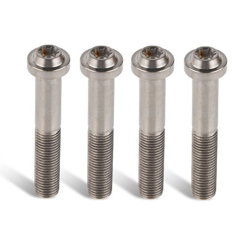 M10X1.25 Titanium Alloy Flange Head Screws for