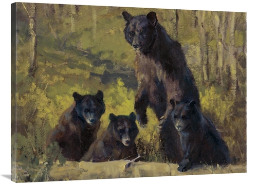 Global Gallery GCS-382115-3040-142 30 x 40 in. Twin Mountain Triplets 