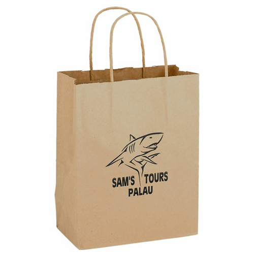 AAB 1N8410 8 in. x 10.25 in. Natural Kraft Paper Shopping Bag - Pack o