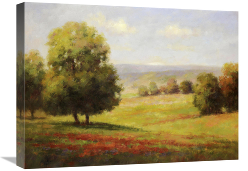 Global Gallery GCS-130631-1824-142 18 x 24 in. Red Meadow II Art Print