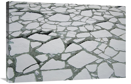 Global Gallery GCS-453461-2436-142 24 x 36 in. Heavy Pack Ice, Aer