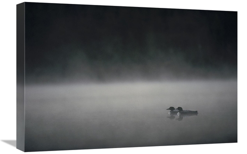 Global Gallery GCS-451858-1624-142 16 x 24 in. Common Loon Pair on Mis