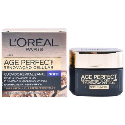 Night Cream Age Perfect L'Oreal Make Up Age Perfect Renacimiento
