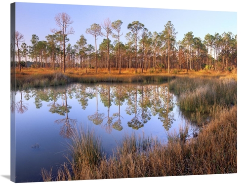Global Gallery GCS-396637-3040-142 30 x 40 in. Pines Reflected in Pond