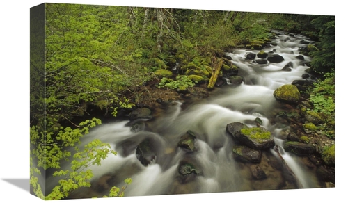 Global Gallery GCS-452874-1218-142 12 x 18 in. Still Creek in Spring&#