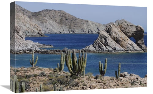 Global Gallery GCS-397721-1624-142 16 x 24 in. Cardon Cacti, Santa