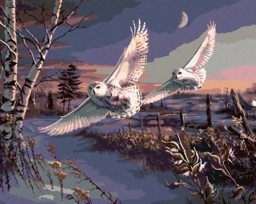 Zuty - Paint by Numbers - SNOWY OWLS IN FLIGHT (JAMES MEGER), 40x50 cm