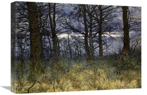 Global Gallery GCS-282113-22-142 22 in. The Woods at Dusk Art Print - 