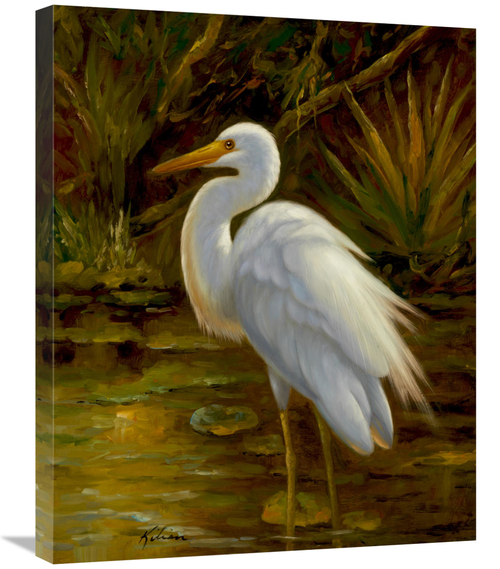 Global Gallery GCS-132585-2228-142 22 x 28 in. Tropical Egret II Art P