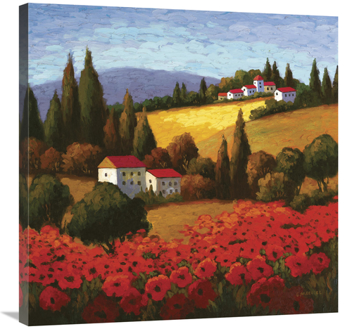 Global Gallery GCS-125969-3030-142 30 x 30 in. Tuscan Poppies Art Prin