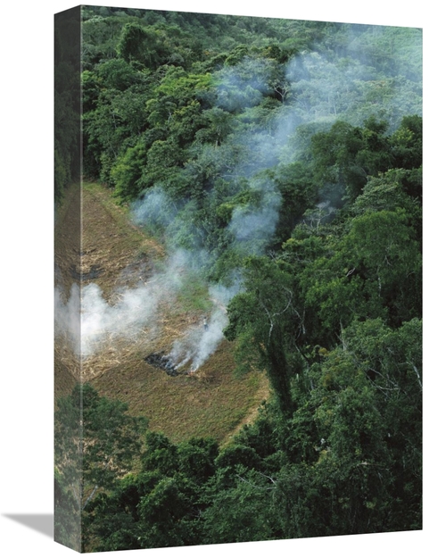 12 x 18 in. A Farmer Burns His Agricultural Field After Harvesting the