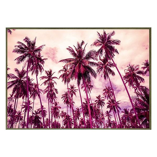 Jenson Palm Canvas Print