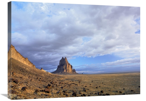 Global Gallery GCS-396515-2432-142 24 x 32 in. Shiprock, the Basal