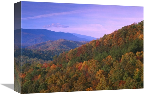 Global Gallery GCS-397143-1216-142 12 x 16 in. Appalachian Mountains A