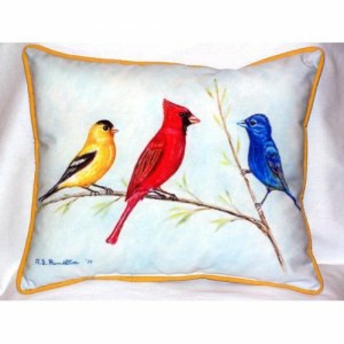 Betsy Drake ZP298 Three Birds Indoor & Outdoor Throw Pillow- 20 x 24 i
