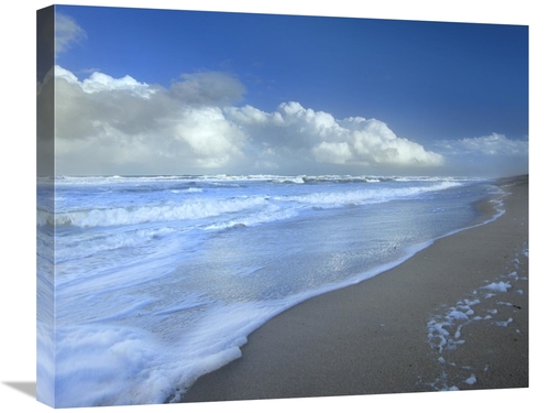 Global Gallery GCS-396542-2024-142 20 x 24 in. Storm Cloud Over Beach&