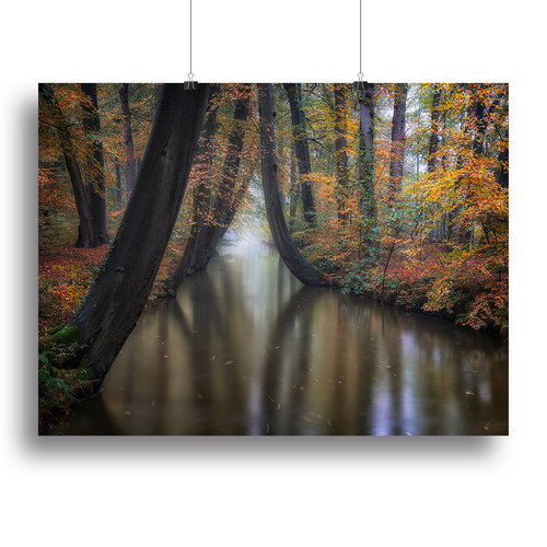 Enchanted Autumn Canvas Print or Poster