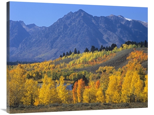 Global Gallery GCS-396894-3040-142 30 x 40 in. Ranger Peak & Aspen For
