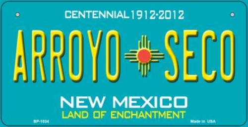 Smart Blonde BP-1534 3 x 6 in. Arroyo Seco Teal New Mexico Novelty Met