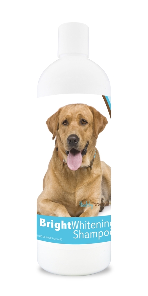 Healthy Breeds 840235109617 12 oz Labrador Retriever Bright Whitening 