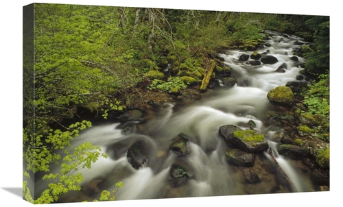 Global Gallery GCS-452874-1624-142 16 x 24 in. Still Creek in Spring&#
